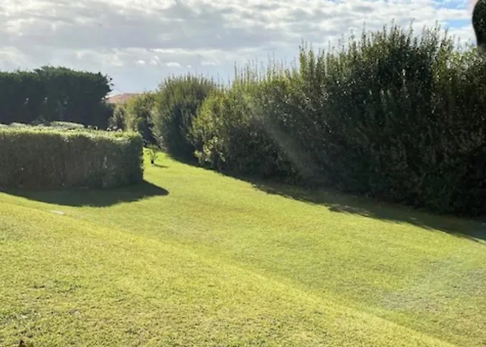 Apartmán Centre Et F1 Calme Vue Parc Parking Gratuit *